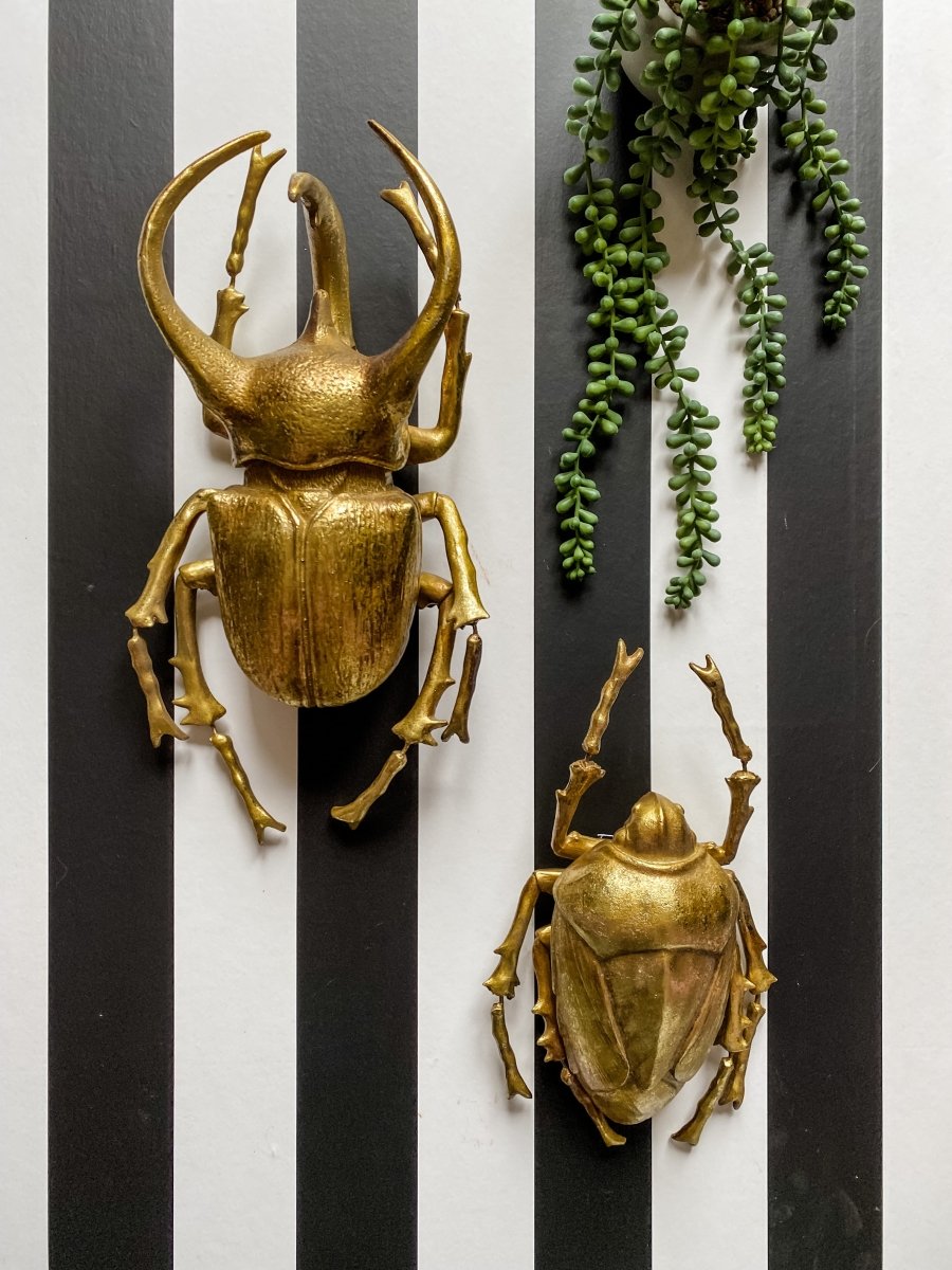 Modern World by Contrast Inc. - Gold Leafed Beetle Wall Décor main image 1