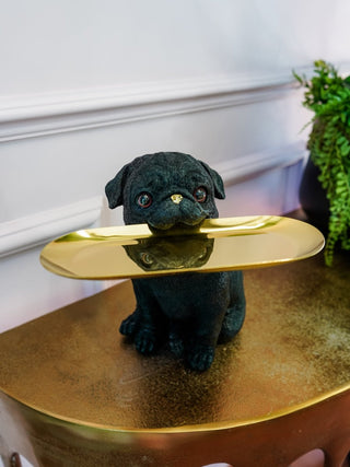 Gifts for Cat & Dog Lovers - Punk & Poodle