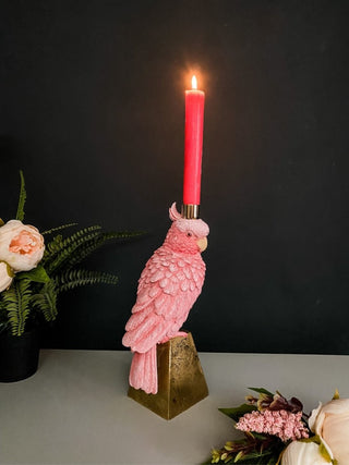 Pink Parrot Candle Holder - Punk & Poodle