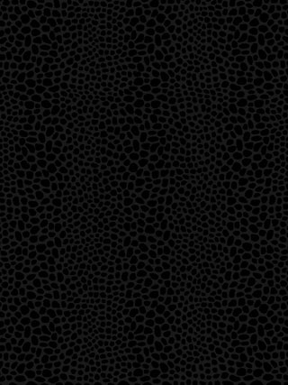 Sold Out (Active) - Punk & Poodle