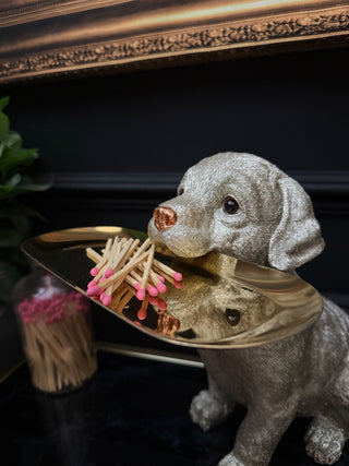 Silver Labrador Dog Holding Gold Tray