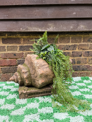 Large Shell Planter