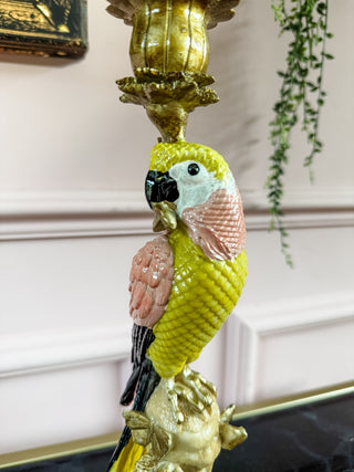 Ornate Parrot Candle Holder