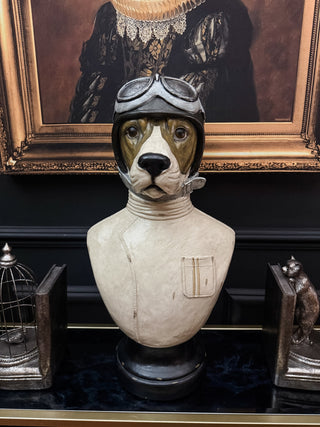Racing Driver Dog Bust
