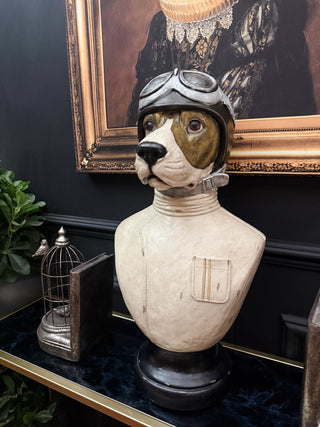 Racing Driver Dog Bust