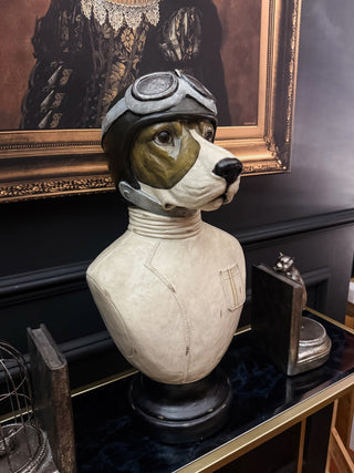 Racing Driver Dog Bust