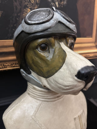 Racing Driver Dog Bust