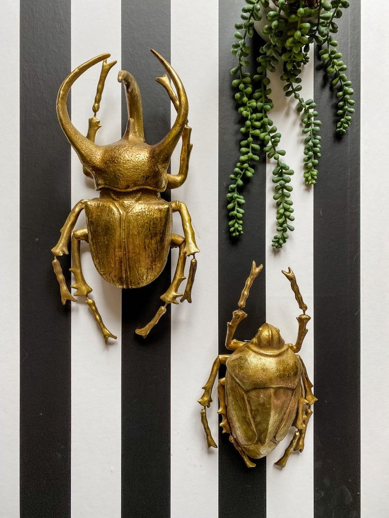 Gold Beetle Wall Decoration - Punk & Poodle