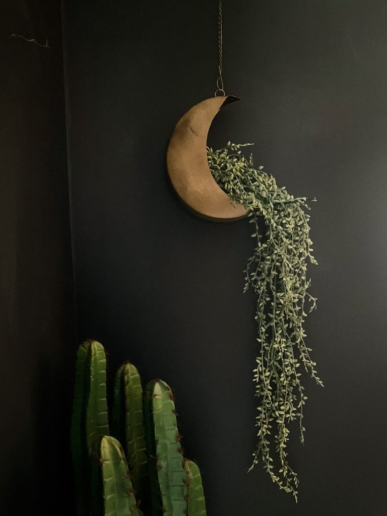 Gold Crescent Moon Hanging Planter - Punk & Poodle