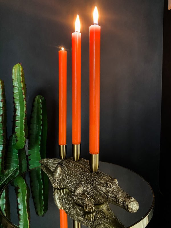 Gold Crocodile Trio Candle Holder Punk & Poodle