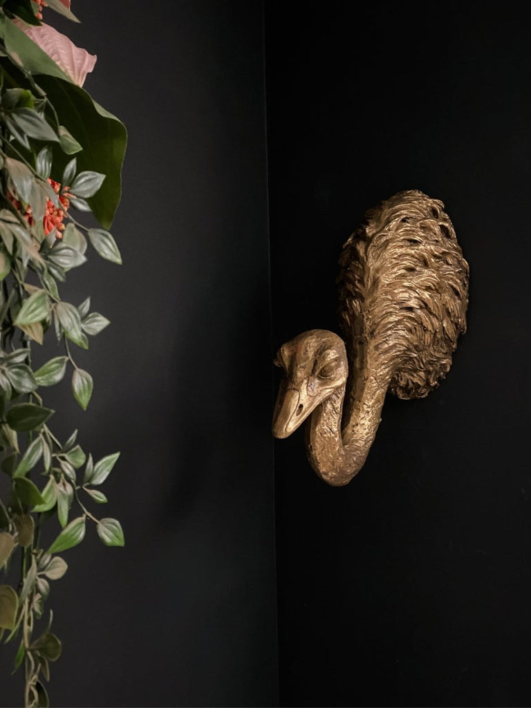 Gold Ostrich Head Wall Display | Punk & Poodle