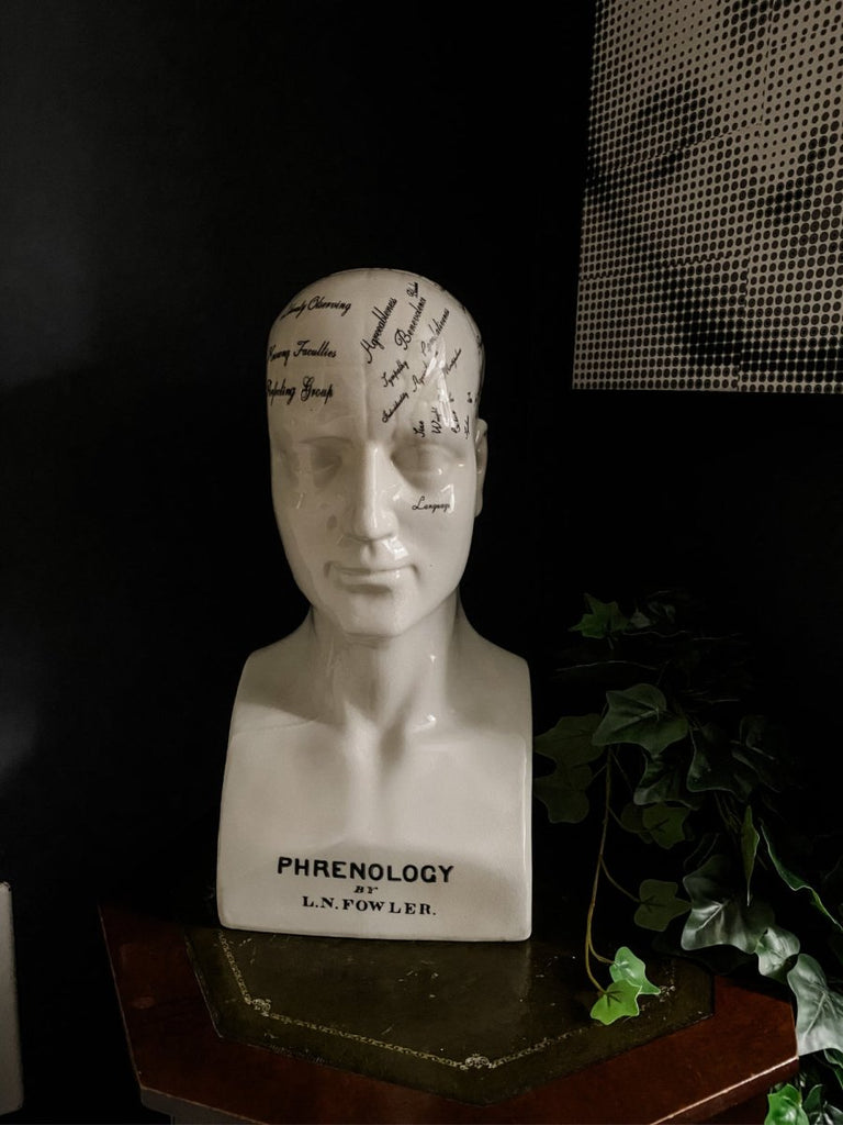 Large Ceramic Phrenology Head Ornament - Punk & Poodle