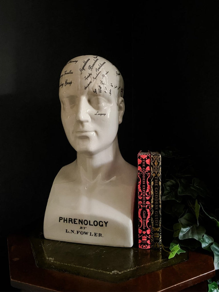 Large Ceramic Phrenology Head Ornament - Punk & Poodle
