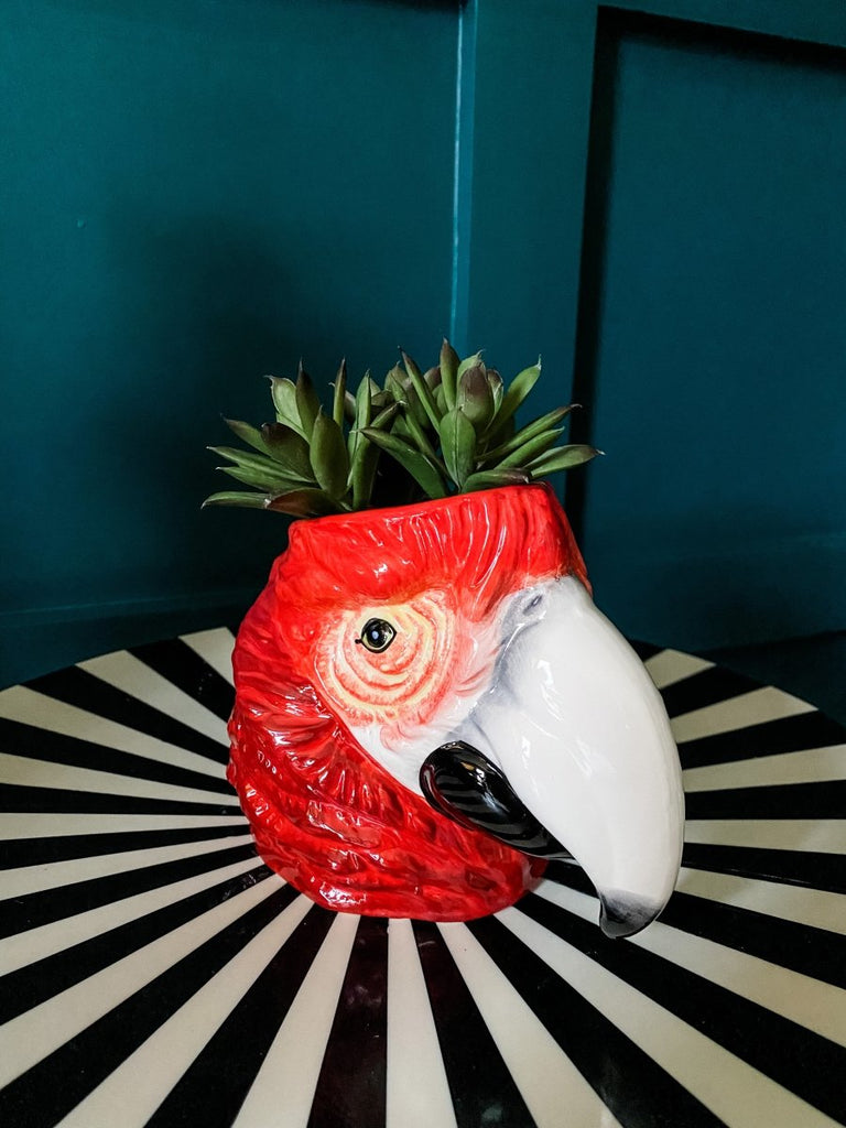 Macaw Parrot Head Ceramic Planter Storage Jar - Punk & Poodle