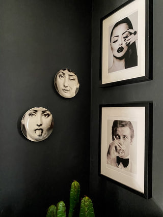 Monochrome Face Plates - Punk & Poodle