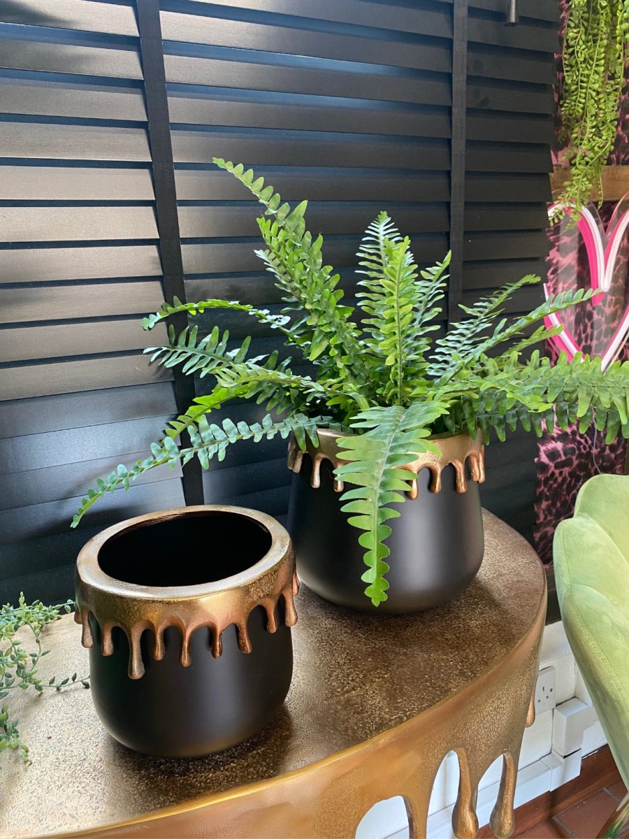 Set of 2 Gold Drip Plant Pots - Punk & Poodle
