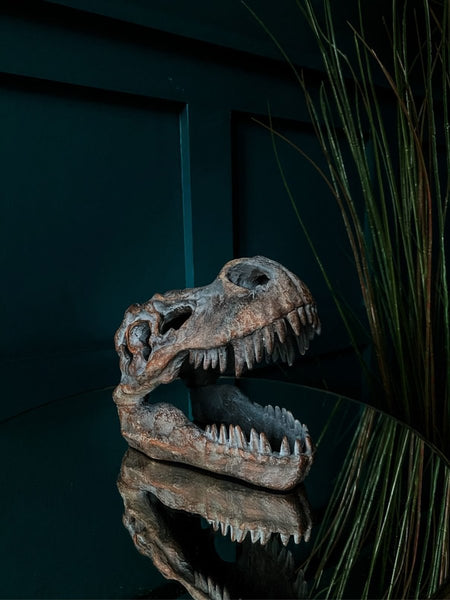 T-Rex Dinosaur Skull Ornament